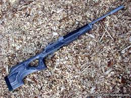 ruger s new mini 14 target