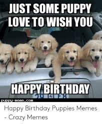 See happy birthday dog stock video clips. Just Some Puppy Love To Wish You Happy Birthday 0 Puppy Memecom Birthday Meme On Me Me
