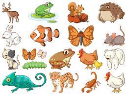 Large Set of Wildlife with Many Types of Animals 1308871 Vector Art at  Vecteezy