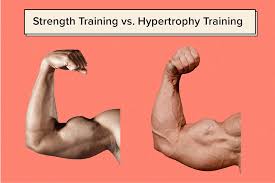 strength versus hypertrophy training
