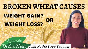 broken wheat helps in weight gain or