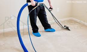 carpet cleaning shoo cly green