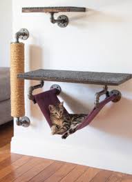 Diy Climbing Wall Just For Cats Catster