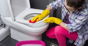 How To Clean A Toilet Living By Homeserve