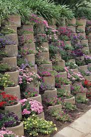 the best plants for retaining walls