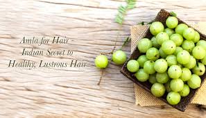 using amla for hair top 10 benefits