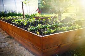 Top 8 Container Garden Ideas For