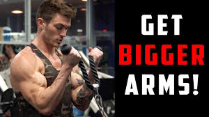 arm workouts for big biceps and triceps