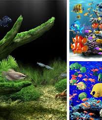 fonds d écran animé aquariums pour