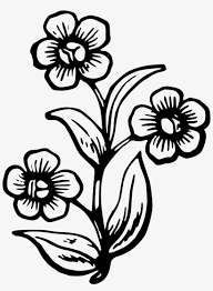 Sketching flowers can be so fulfilling, so i have collected together some ideas to help and inspire you along the way. How To Draw A Wildflowers Big Pretty Flower Drawing Transparent Png 974x1280 Free Download On Nicepng