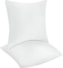 decorative pillow insert 2 pack