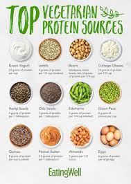 top vegetarian protein sources