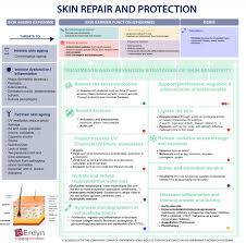 skin repair and protection erdyn