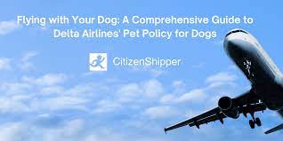 guide to delta airlines pet policy