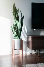 Get the best deal for modern plant stands from the largest online selection at ebay.com. Mid Century Modern Plant Stand Inspired By The 1950s This Beautiful Mid Century Style Plant St Mid Century Modern Plant Stand Indoor Decor Retro Home Decor