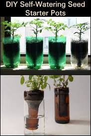 Diy Self Watering Seed Starter Pots 8