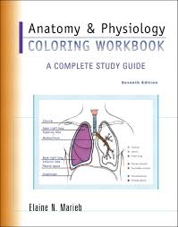 Marieb and others in this series. Marieb Anatomy Physiology Coloring Workbook A Complete Study Guide Pearson