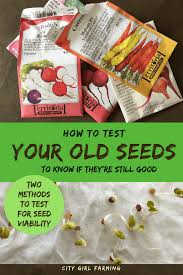 how to test old seeds for viability