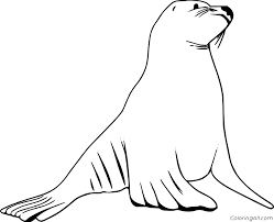 Each printable highlights a word that starts. Realistic Sea Lion Coloring Page Coloringall