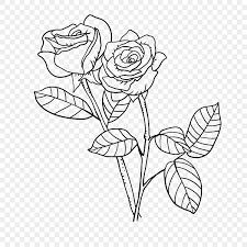 two roses plant flowers lineart rose