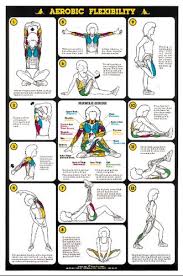 Aerobic Flexibility Stretching Wall Chart Poster