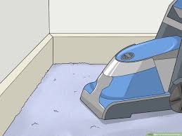 simple ways to clean carpet edges 11