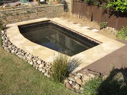New Pond And Waterfall Build Projects