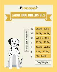 51 Right Dog Growth Chart Puppy
