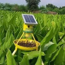 Yellow Solar Powered Led Insect Light