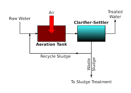 activated sludge process