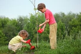 Image result for tree planting photos