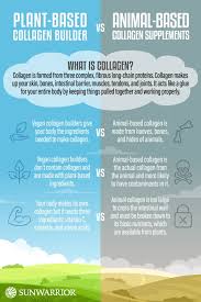 How long does it take for collagen to work in your body. Plant Based Collagen Builder Vs Animal Based Collagen Supplements Which Is Best For You