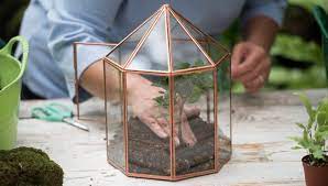 Plant A Terrarium Glass Terrariums