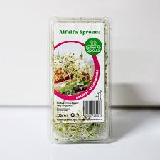 alfalfa sprouts southern alp sprouts