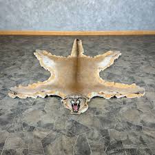 mountain lion full size rug 28860