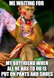 monkey wearing makeup flip