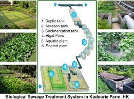 kadoorie farm system 2004