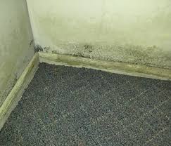 Basement Mold Removal By Mold Solutions