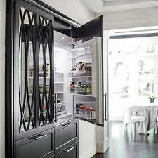 Built In Refrigerator Design Ideas