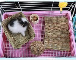 best flooring for rabbits 2024 review