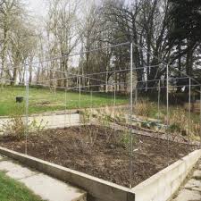 Vegetable Cages With Garden Netting