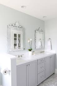Bathroom Cabinets Painted Gray