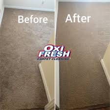 carpet cleaning near st peters
