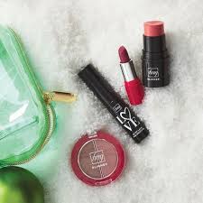 fmg mini makeup essentials kit