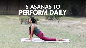 5 yoga asanas you should do daily