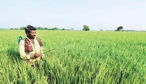 Tamil Nadu To Record High Crop Insurance As Agriculture Department  gambar png