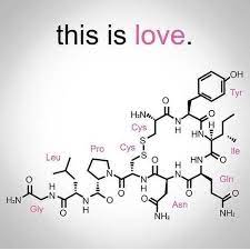 The Chemical Formula For Love C8h11no2