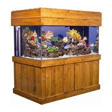 bob s tropical fish aquariums by size