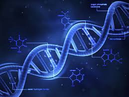 dna definition shape replication and