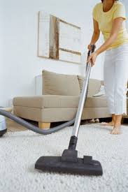 professional carpet cleaning north